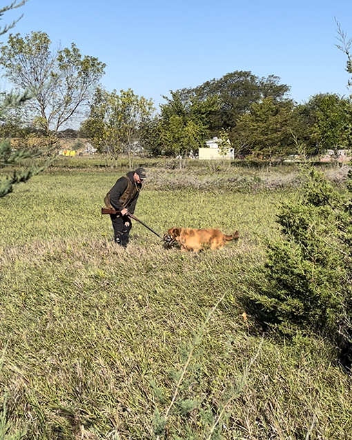 training dog for bird hunting